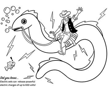 Electric Eel Coloring Page Activity